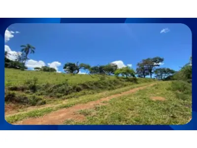 LOTE 015 - IMÓVEL RURAL DENOMINADO ENGENHO LAUREANO, LOCALIZADO NO MUNICÍPIO DE ALIANÇA/PE, COM 150 HECTARES.