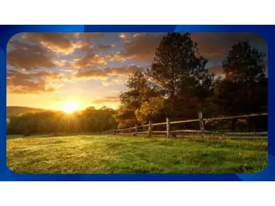 LOTE 055 - Área de terras - Rua 25 de Julho, lote 49, quadra 08, Centro, Setor 01