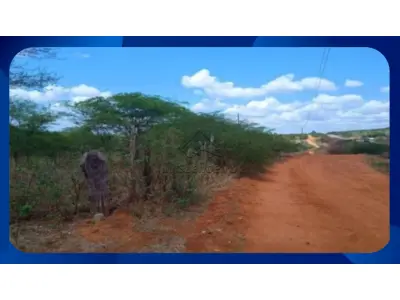 LOTE 036 - SÍTIO - Parte de terra localizada na Fazenda Tanque Novo, à margem esquerda da Rodovia BR-316 (sentido Ouricuri-Trindade), com área total de 10,00 hectares, localizada no município de Ouricuri/PE.