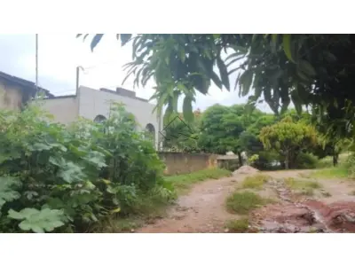 LOTE 011 - .IMÓVEL RURAL DENOMINADO ENGENHO FALCÃO, LOCALIZADO NO MUNICÍPIO DE ALIANÇA/PE, COM 412 HECTARES.