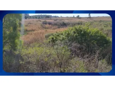 LOTE 043 - Lotes - 02, 03, 04 e 05 na Estrada Federal BR-293 (KM 136,5), Candiota/RS. Com áreas superficiais de 3.921,41m², 4.636,86m², 4.159,69m² e 4.290,78m² respectivamente.