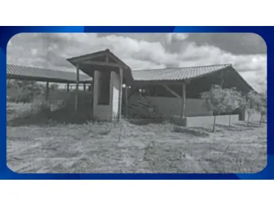 LOTE 085 - GLEBA DE TERRAS - Gleba Barriguda, Loteamento Cartucho, Goiatins/TO, Área total de 3.521.335,00m² (Fazenda Faveira - Lote 151 com 1.820.460,00m²/182,04,60 ha e Fazenda Santa Fé - Lote 146 com 1.700.875,00m²/170,08,75 ha) com diversas benfeitorias