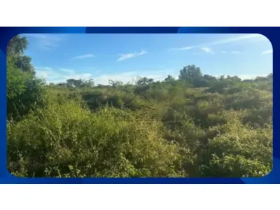 LOTE 055 - GLEBA DE TERRAS - Parte da Área nº 6, Fazenda Barra da Onça, Governador Valadares/MG