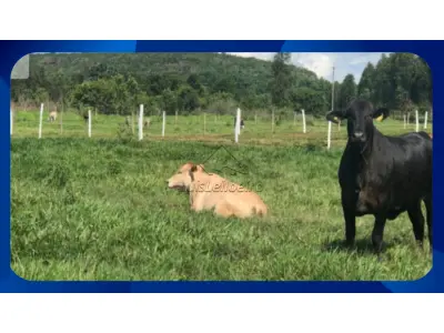 LOTE 029 - Lote - Lote n.º 16 da quadra B-3, Loteamento Ponto Alto
