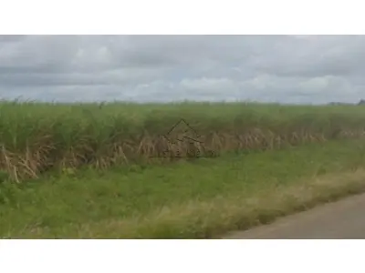 LOTE 038 - FAZENDA - Fazenda Zumbi, à esquerda da Rodovia PB-041 (no sentido Sapé-Capim), Sapé/PB, com área de 233 hectares, sendo as terras destinadas ao plantio de cana-de-açúcar (PARCELAMENTO EM ATÉ 60 MESES)