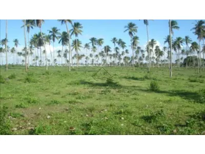 LOTE 022 - Área de terras - Nova Descoberta, Itaporanga d'Ajuda, SN,com área de 23,175,00