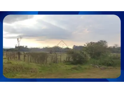 LOTE 099 - GLEBA DE TERRAS - Denominada Gleba Buritizal 6, Canto do Buriti/PI, Área de 3.000 hectares