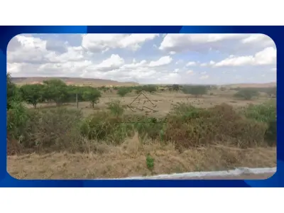 LOTE 031 - UMA GLEBA DE TERRAS, R. Joaquim Jose Modesto, SITUADA NO SÍTIO ALAGOINHA, ZONA RURAL, ARARIPINA/PE