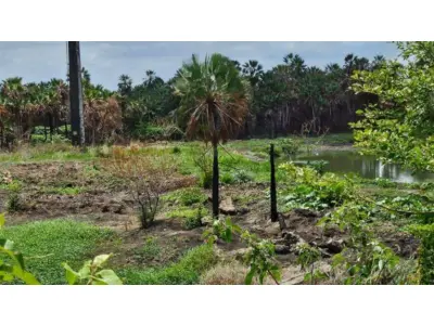 LOTE 014 - Sítio - R. Tibúrcio Pereira , Bairro Cajazeiras , SN, Sítio Cajazeiras, com área total de 165,731,02m²