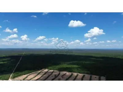 LOTE 032 - FAZENDA - Fazenda Baraúna, Barra/BA - 3005,00 hectares.