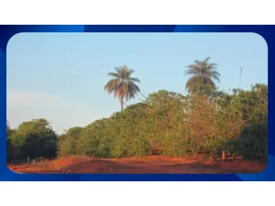 LOTE 004 - PROPRIEDADE RURAL NO LUGAR DENOMINADO FAZENDA PEDRA VERMELHA, GUAPÉ/MG, COM A ÁREA DE 82,53,00 HECTARES