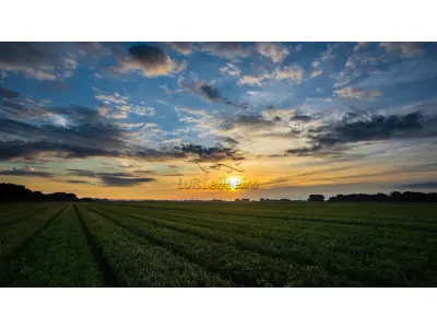 LOTE 030 - Gleba situada no Sítio Leite, localizado neste Município de Juazeiro do Norte/CE.
