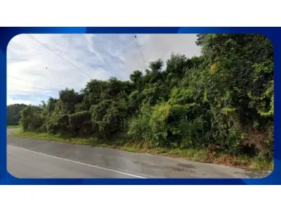 LOTE 049 - TERRENO - Área de terreno designada como Área A com 4.584,20 m², localizada na Rodovia Monsenhor Clodoaldo de Paiva, bairro Rio do Peixe, município de Águas de Lindóia/SP.