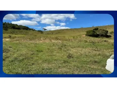 LOTE 012 - FAZENDA IPE III, GLEBA B E C, SANTA ROSA DE VITERBO/SP, COM ÁREA DE 26,2095 HÁ.