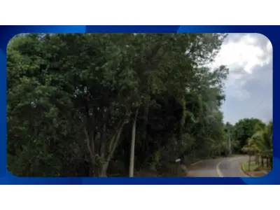 LOTE 073 - LOTE - ESTRADA MUNICIPAL PSB 435, ÁREA 07, DISTRISTO DE ARAXÃNS, PRESIDENTE BERNANDES/SP COM ÁREA DE 1.562,626M²