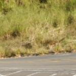TERRENO NO BAIRRO VILA IDEAL (23.000 M2) - MG