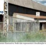 IMÓVEL INDUSTRIAL, À RODOVIA BR-153, 650, DISTRITO INDUSTRIAL III, BADY BASSIT/SP. COMPOSTO DE GALPÃO COM 3.594,08M² EM UMA ÁREA DE 27.727,03M² OU 2.77,77 HECTARES, OU SEJA 1,15 ALQUEIRES.