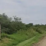 LOTE 313 DA QUADRA 14, LOTEAMENTO CHACARA RINCÃO/MIMOSO, À RUA Nº 20, NO 3º DISTRITO DE MARICÁ/RJ. COM ÁREA DE 2.734,05M², TERRENO APROXIMADAMENTE 1 QUADRA DA PISTA PRINCIPAL. - (035-99710-0861)