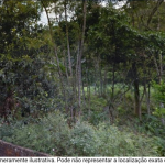 SÍTIO PINHAL, COM ÁREA DE 240.000M2, NOVA FRIBURGO/RJ.