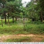 UM LOTE DE TERRA URBANO N° 7, LOCALIZADO NO RAMAL LAMA PRETA, ALTAMIRA/PA. COM ÁREA TOTAL DE 1.977,02M². SEM BENFEITORIAS.