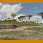 LOTE DE TERRA Nº 11, DA QUADRA 09, GLEBA 02, SITUADO NAS VICINAIS 06, LOTEAMENTO RURAL DENOMINADO VITORIA REGIA, TEM ACESSO PELA RODOVIA BR-174, MANAUS/AM. COM ÁREA TOTAL DE 3.680,00 M².