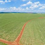 2 HA CORRESPONDENTES A 16 LITROS E 640M2 DE TERRENOS SITUADOS NO LUGAR DE SANTO ANTONIO, EM MORRO GRANDE, SÃO JOAQUIM, ITAPEMIRIM, ES