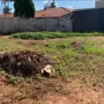 LOTE 10 DA QUADRA 65 - BAIRRO NOSSA SENHORA DO ROSARIO DE FATIMA