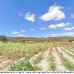 GLEBA DE TERRAS, LOCALIZADA NO SITIO GAMELEIRA 2, FUNDO DO SACO, ZONA RURAL, IPUBI/PE, COM ÁREA DE 8,90,00 HÁ E BENFEITORIAS.