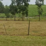 UMA GLEBA DE TERRAS, LOCALIZADA NAS PROXIMIDADES DO BAIRRO PRATINHA, PRATÂNIA/SP, COM ÁREA DE 14,332 HECTARES.