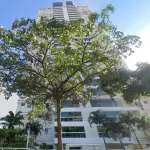 APARTAMENTO - R. SAMUEL MORSE, 21, AP 204 - SERRINHA