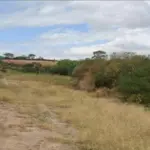 TERRENO - CONSTITUÍDO PELO LOTE 07 , DA QUADRA C ,SÃO JOSÉ DO RIO PRETO
