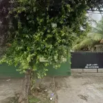 LOTE 0072 - GALPÃO + ESTACIONAMENTO - RUA JK 647