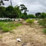 RUA AGOSTINHO DE AZEVEDO, DESIGNADO LOTE B, NO 13º SUBDISTRITO - BUTANTÃ - 2.744,93M2