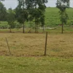 LOTE DE TERRENO, LOCALIZADO EM RIO BRILHANTE, MS, MATRÍCULA 1702.