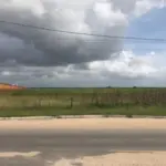 UMA FRAÇÃO DE TERRAS SEM BENFEITORIAS AV. ADOLFO FETTER, LARANJAL, CAMPO PELOTAS, COM AREA TOTAL DE 56HA