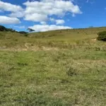 LOTE 02711 - FAZENDA IPE III, GLEBA B E C, SANTA ROSA DE VITERBO/SP, COM ÁREA DE 26,2095 HÁ.