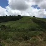 ENGENHO CACHOEIRA, LOCALIZADO NA ÁREA RURAL DE IPOJUCA , COM ÁREA DE 942,9219HA