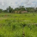 LOTE - SITUADO NA ESTRADA DA FLORESTA, BAIRRO FLORESTA, RIO BRANCO/AC, COM SUA ÁREA TOTAL DE 4.222,36 M²