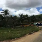 ENGENHO CACHOEIRA, LOCALIZADO NA ÁREA RURAL DE IPOJUCA , COM ÁREA DE 942,9219HA