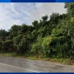 LOTE 06635 - TERRENO - Área de terreno designada como Área A com 4.584,20 m², localizada na Rodovia Monsenhor Clodoaldo de Paiva, bairro Rio do Peixe, município de Águas de Lindóia/SP.