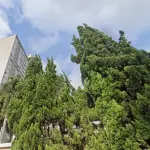 APARTAMENTO -R. SÃO JOSÉ, 930 - SANTO AMARO, SÃO PAULO - N.72 NO SÉTIMO ANDAR DO EDIFICIO VILLA VERDE
