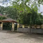 GLEBA DE TERRAS -UMA PARTE DE TERRA QUE MEDE 195.9919 MASSARANDUBA (PB): FAZENDA MARIA DA LUZ, NA ZONA RURAL