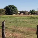 LOTE URBANO DE FORMATO IRREGULAR, DESIGNADO COMO LOTE A, LOCALIZADO NA CIDADE DE CASSILÂNDIA/MS. COM ÁREA SUPERFICIAL DE 25.960,00 M²