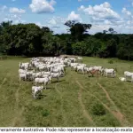 LOTE- DE TERRA NA FAZENDA SANTA ROSA PORTO REAL RJ