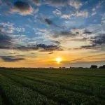 GLEBA DE TERRAS - NA FAZENDA SÃO JOÃO, SANTA VARGEM, COM ÁREA DE 97,50HA