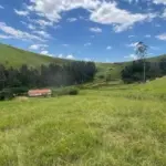 ÁREA DE TERRAS - 51 HECTARES DA FAZENDA ABISMO, LOCALIZADA NO MUNÍCIPIO DE MARAIAL/PE