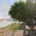 LOTE - R. SÃO FRANCISCO - QUIXELÔ