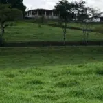 IMÓVEL RURAL - SÍTIO LAGES ZONA RURAL, CANAPI - AL,