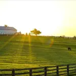 GLEBA DE TERRA - FAZENDA DOS ANGICOS ,SITUADO NO MUNICÍPIO DE PORTEIRINHA