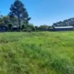 SEDE DA FAZENDA DA FIGUEIRA